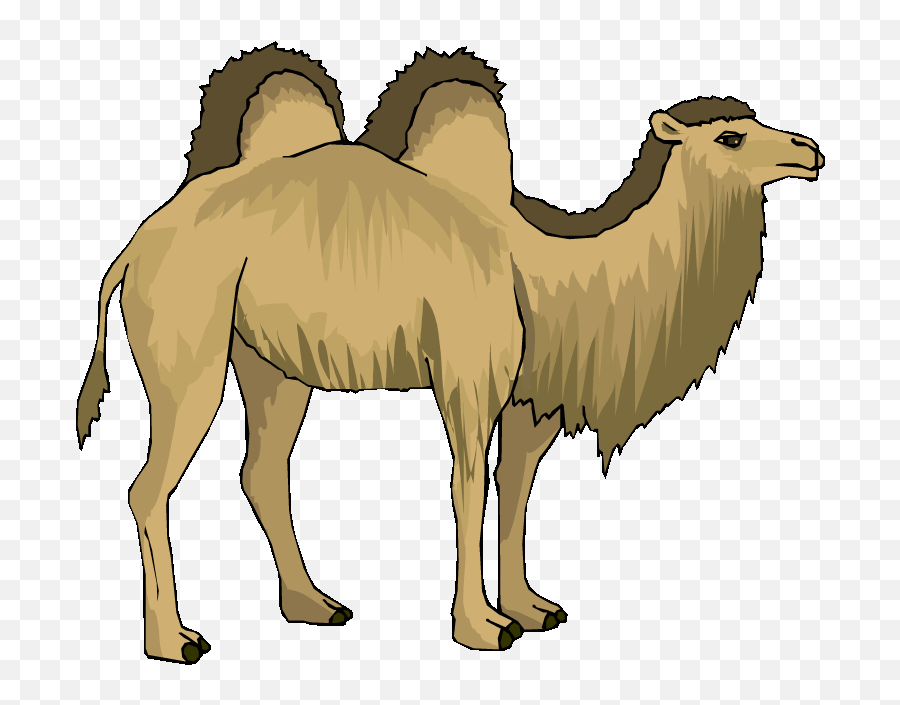 Free Camel Clipart 6 - Camel With 2 Humps Clipart Emoji,Camel Clipart