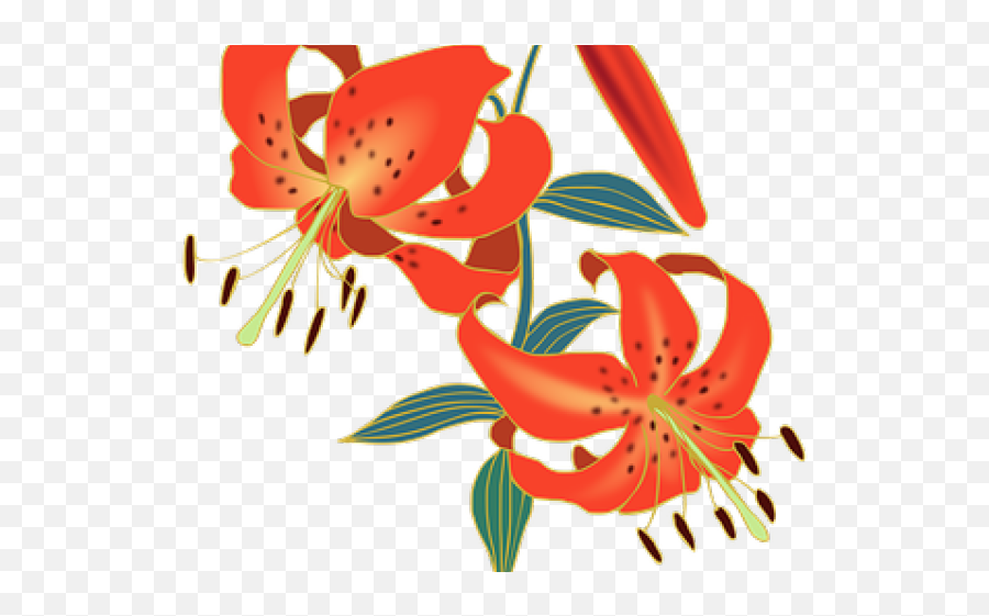 Lily Clipart Red Lily - Tiger Lily Clip Art Emoji,Lily Clipart