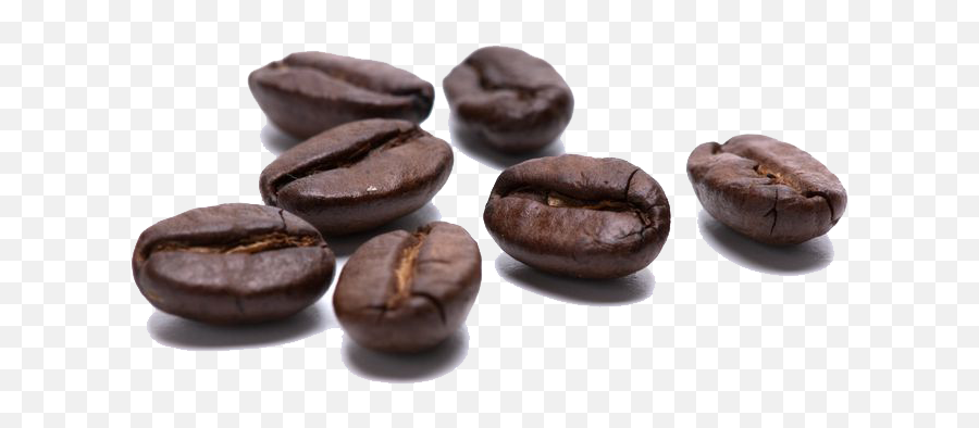 Coffee Bean Tea Drink - Beans Png Download 960643 Free Coffee Bean Emoji,Coffee Bean Clipart