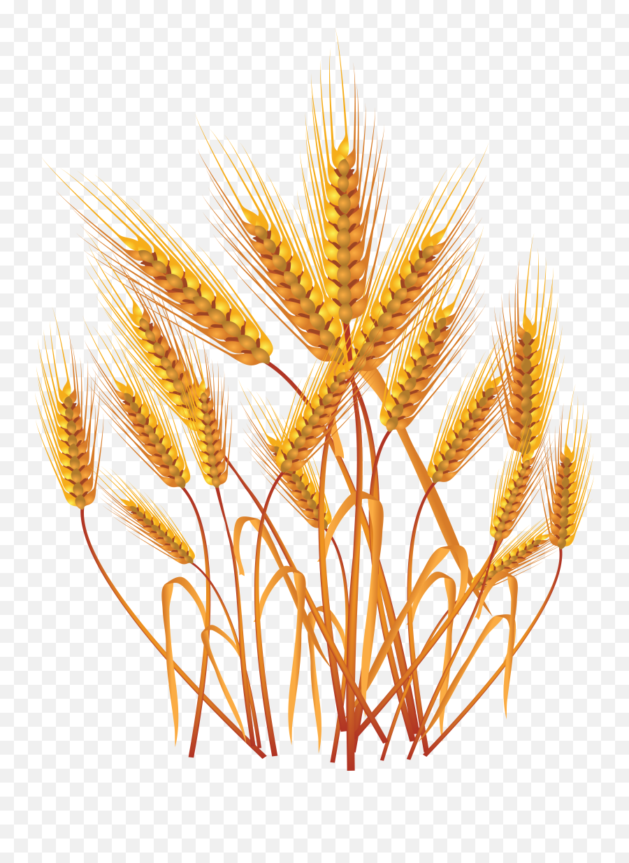 Download Wheat Png Image For Free - Wheat Cartoon Emoji,Wheat Png