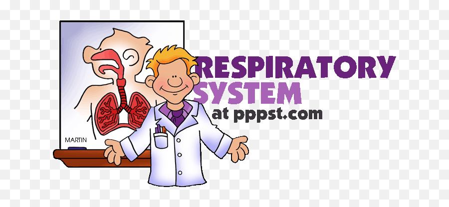 Respiratory System Clipart U0026 Respiratory System Clip Art - Lab Coat Clip Art Emoji,Lung Clipart