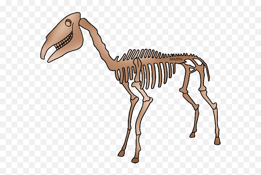 Dinosaur Bones Fossils Png Clipart Png All - Fossil Clipart Transparent Png Emoji,Bones Clipart