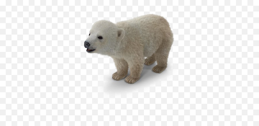 Polar Bear Png Background Image Png Arts - Baby Polar Bear Transparent Background Emoji,Polar Bear Png