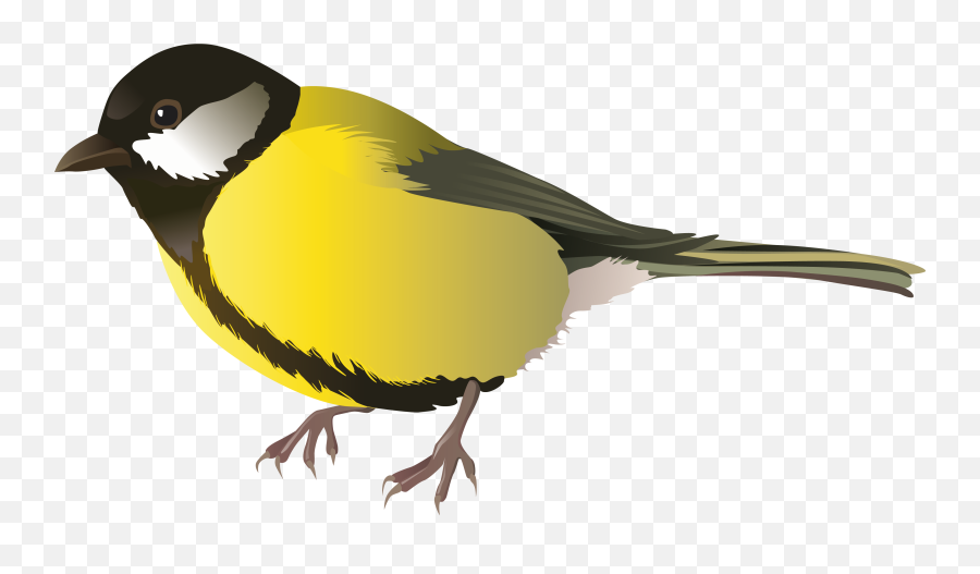 Bird Png Emoji,Bird Transparent Background