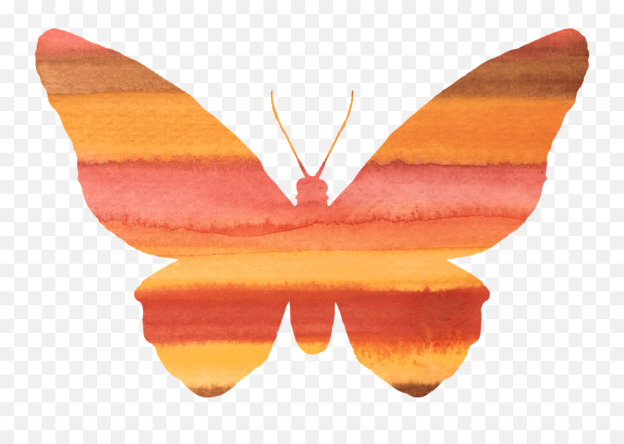 Tags - Butterfly Art Transparent Background Transparent Cute Butterfly Clipart Orange Emoji,Butterfly Transparent Background