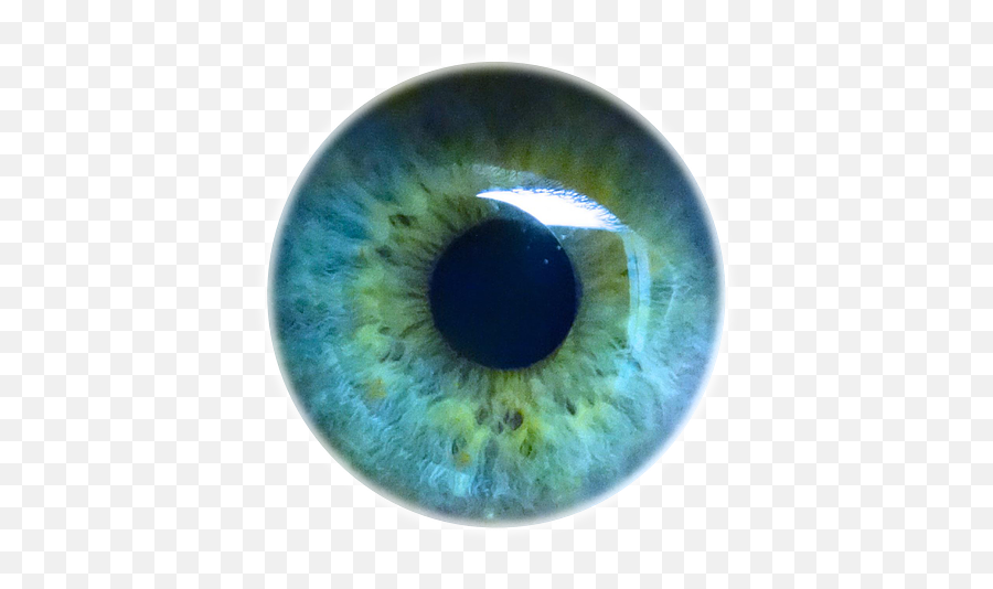 Download Iris Eyes Eye Light Pupil Human Clipart Png Free - Light Blue Eye Ball Emoji,Human Clipart