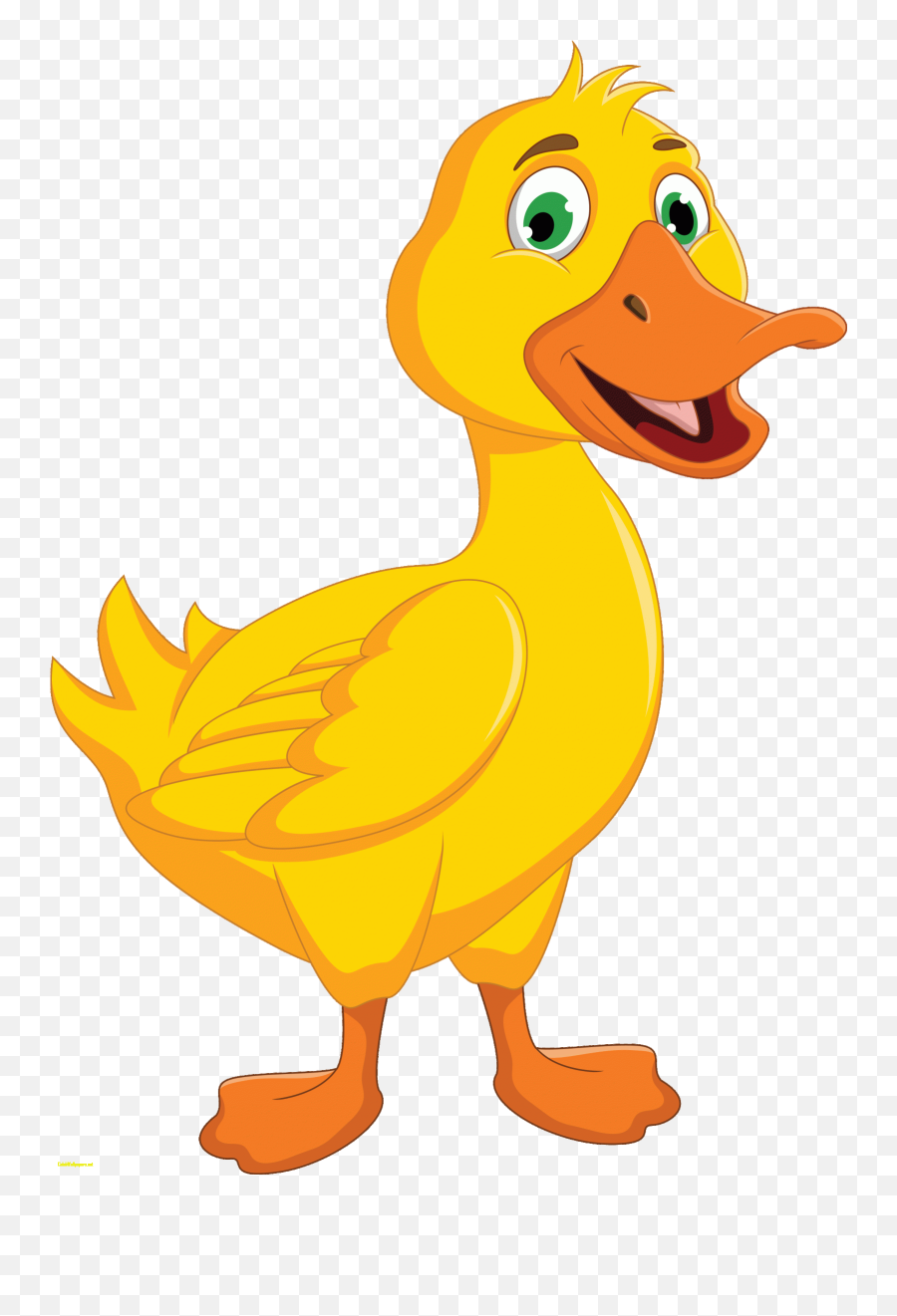 New Zealand - Clipart Duck Png Emoji,Duck Clipart