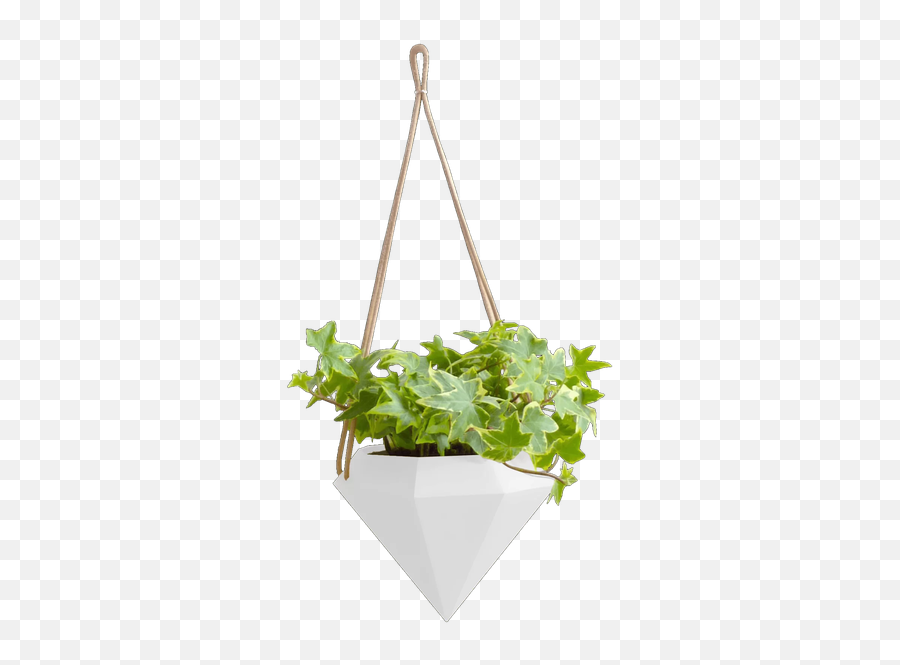 Chloris Diamond Ceramic Hanging Planter White Matte Emoji,Potted Plant Transparent Background