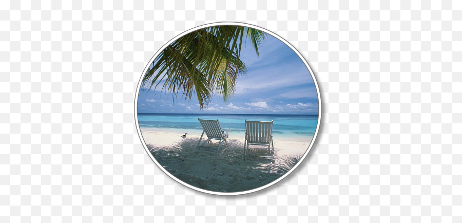 Welcome Shell Island Beach Club - Beach In A Circle Png Emoji,Beach Png