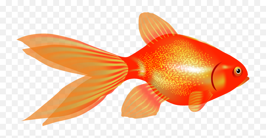 Goldfish Png Resolution788x387 Transparent Png Image - Imgspng Emoji,Gold Fish Clipart
