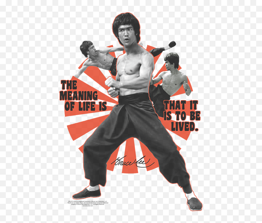 Bruce Lee - Meaning Of Life Tshirt Emoji,Bruce Lee Png