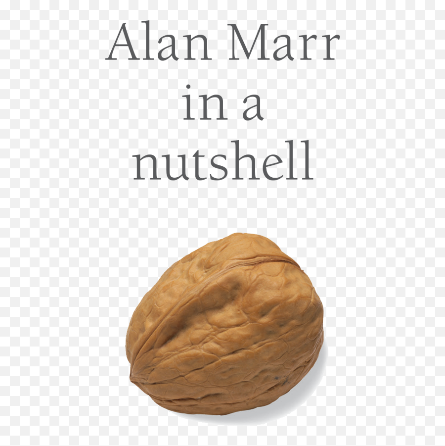 Unico U2014 Alan Marr In A Nutshell Emoji,Hazelnut Clipart