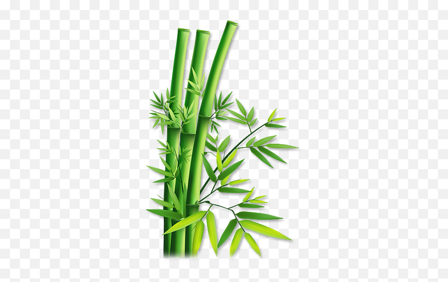Bamboo Png Images Transparent - Bamboo Png Emoji,Bamboo Png