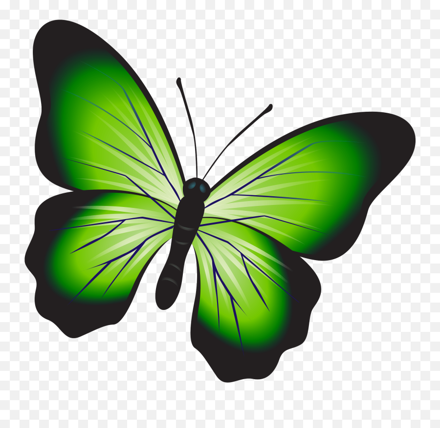 Green Butterfly Clipart - Green Butterfly Clipart Emoji,Butterfly Clipart