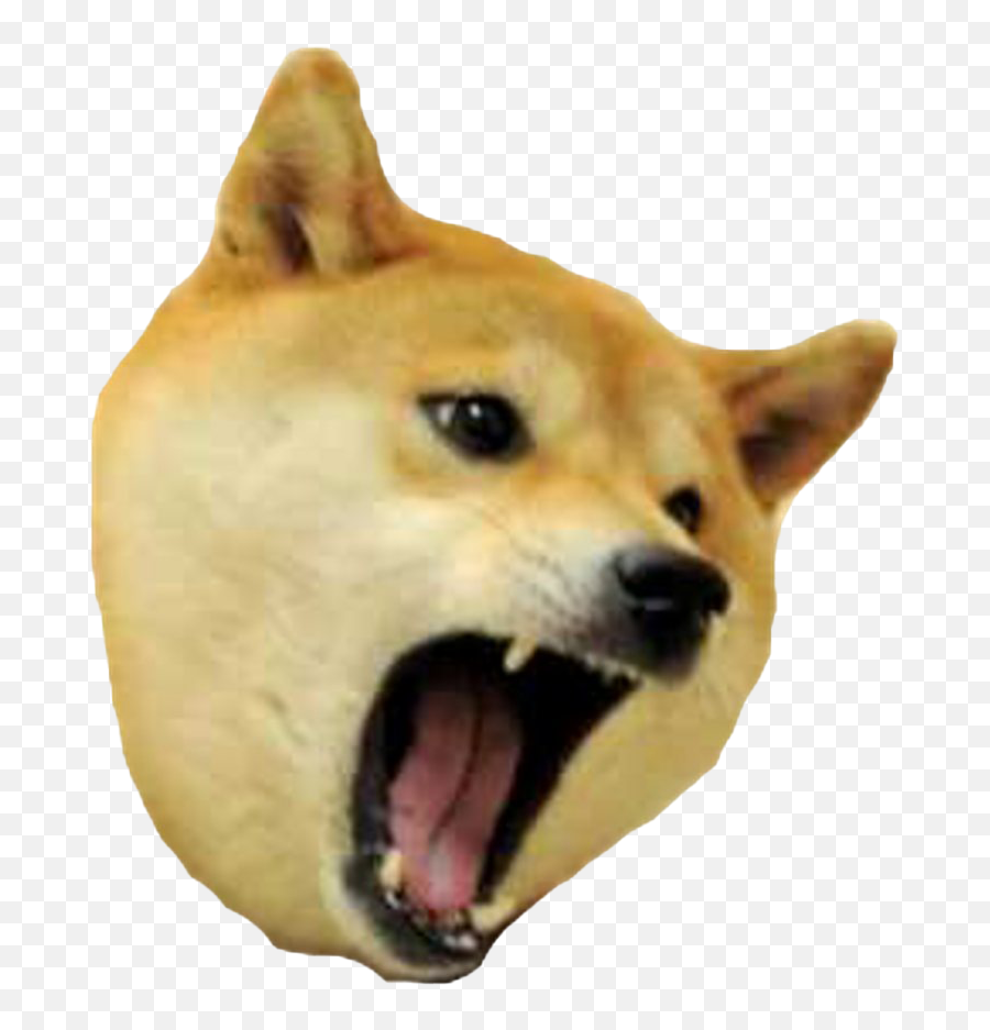 Meme Png Uncharted Drakeu0027s Fortune Artist Playstation 3 - Angry Doge Transparent Emoji,Meme Png