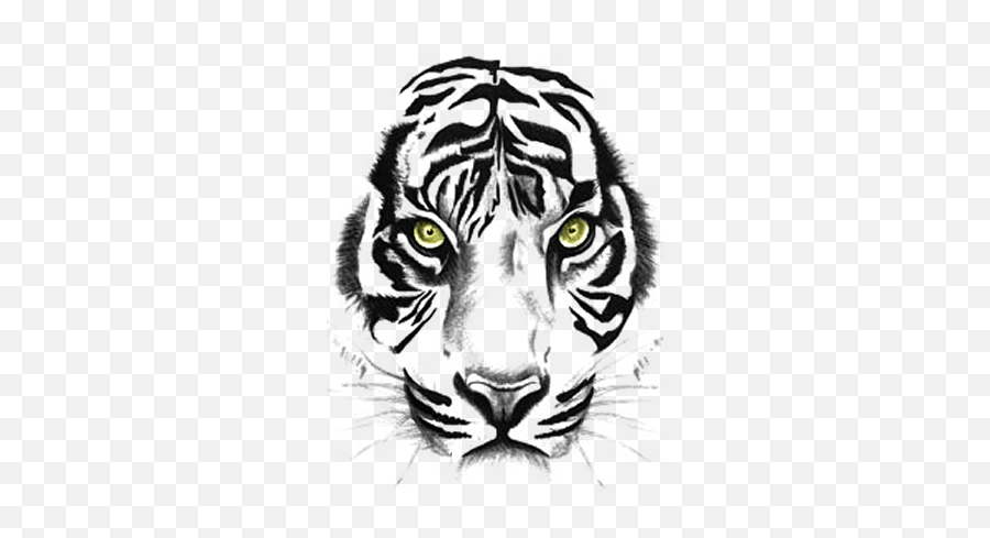 Tiger Sumatra Tiger Tierwelt Tiger - Tiger Face Tattoo Png Emoji,Tiger Face Clipart