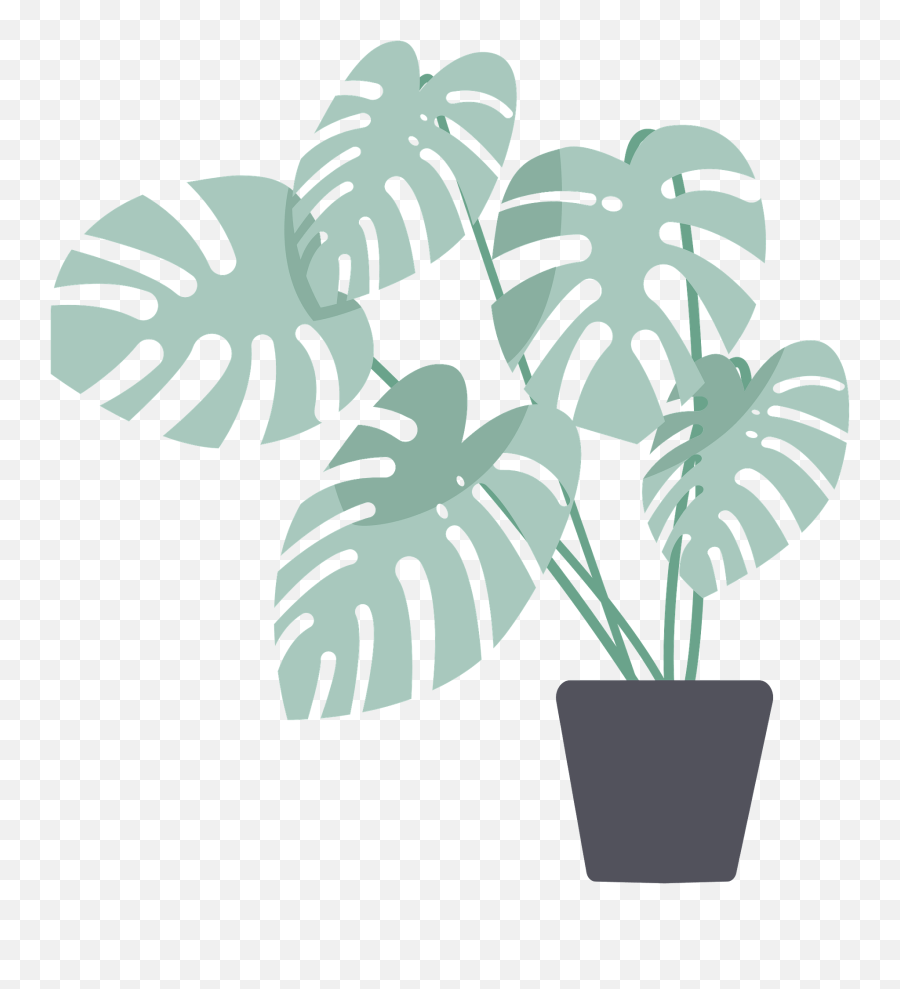 Monstera Pot With Plant Clipart Free Download Transparent - Teal Plant Clipart Emoji,Monstera Leaf Png