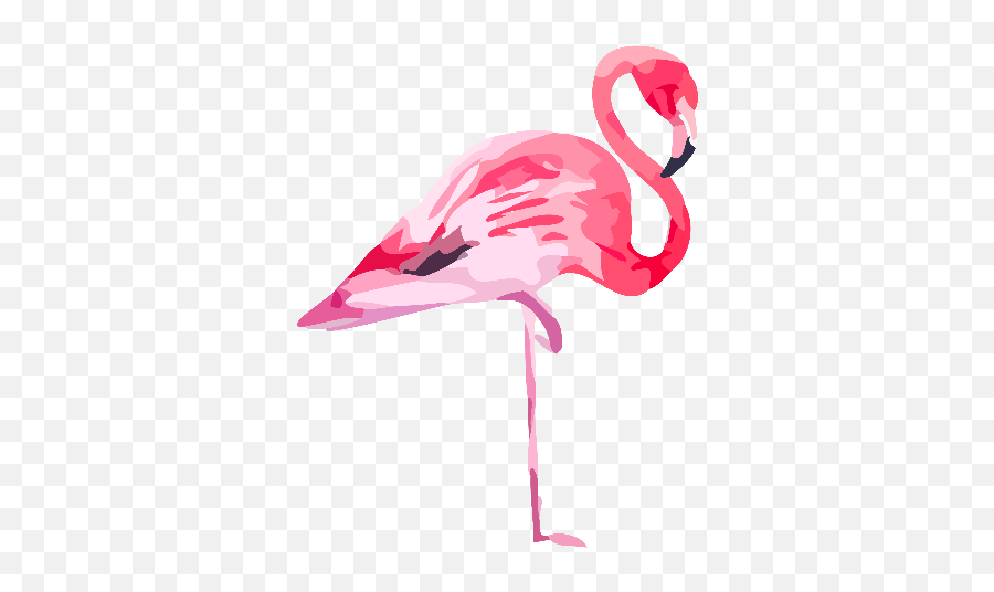 Pink Flamingo Emoji,Pink Flamingo Clipart