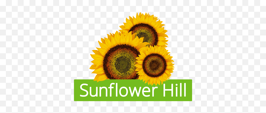 Sunflower Hill Receives A Fund Allocation News Emoji,Watercolor Sunflower Png