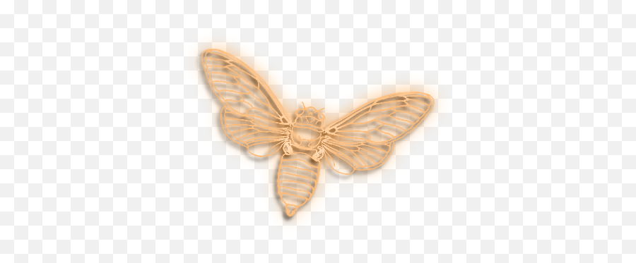 Playpen Of Graphics Cubit Playpen Of Graphics Butterflies - Decorative Emoji,Butterfly Transparent Background