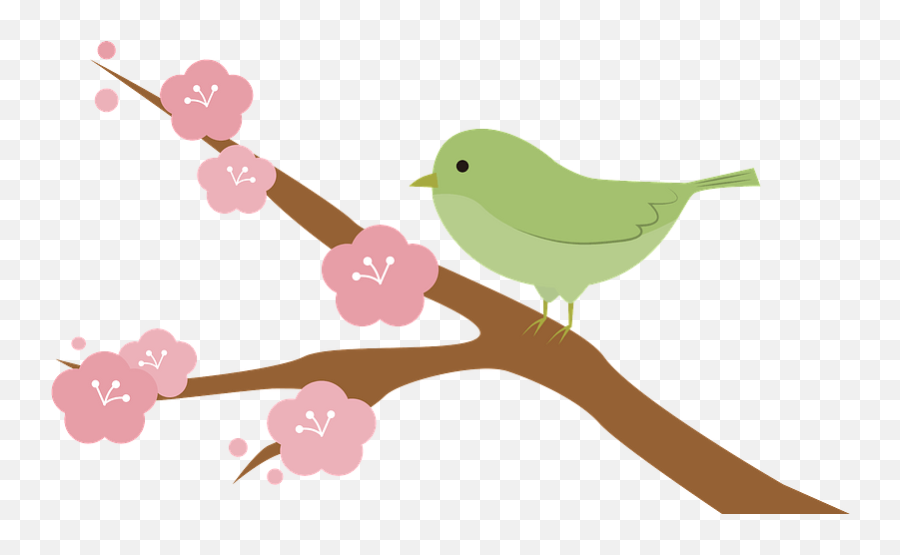 Japanese Bush Warbler Bird On Cherry Blossom Branch Clipart - Japanese Bush Warbler Emoji,Cherry Blossom Clipart
