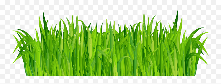 Grass Clipart Png U0026 Free Grass Clipartpng Transparent Emoji,Cartoon Grass Png