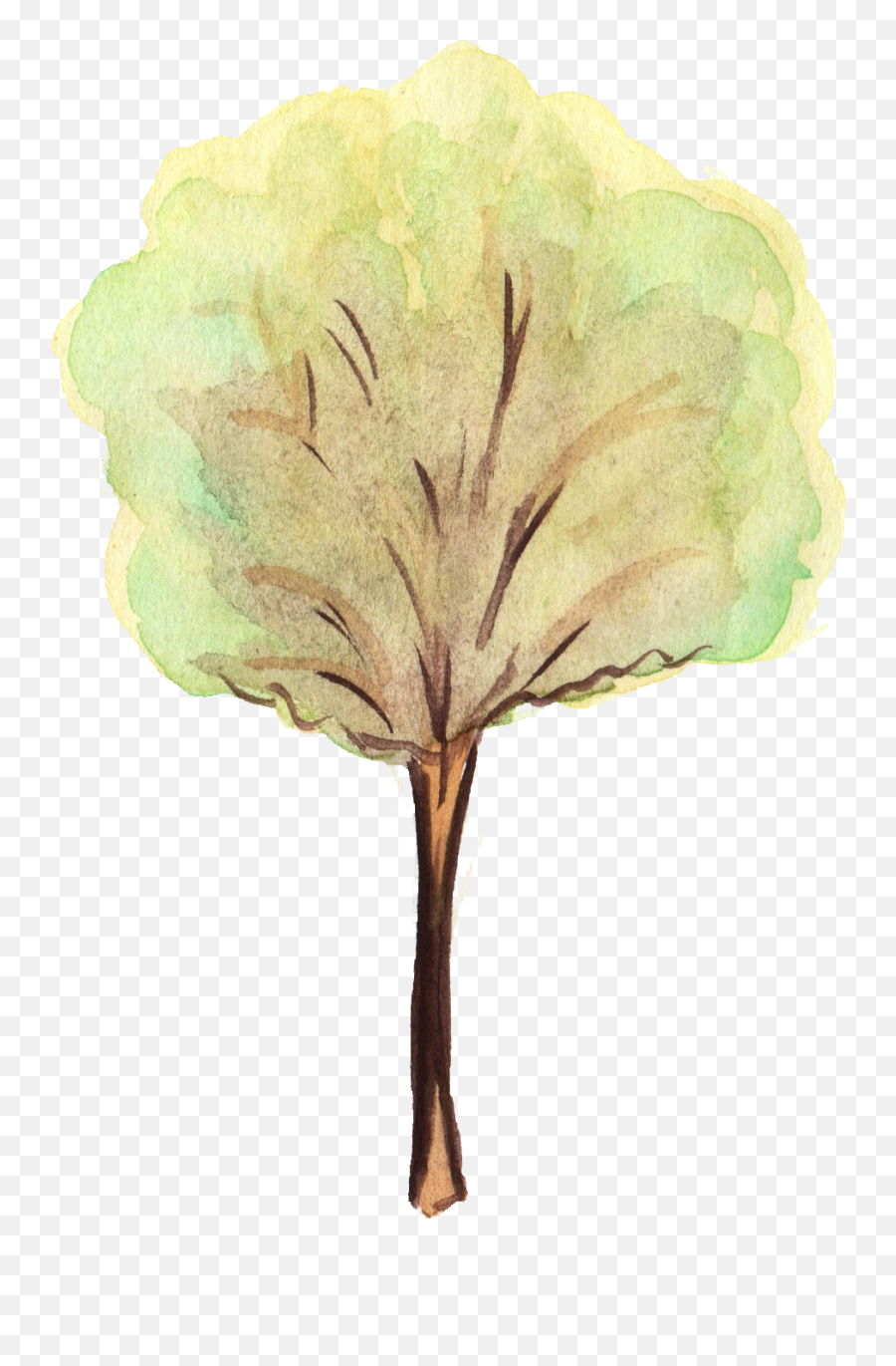 12 Watercolor Tree Transparent - Watercolor Tree Png Drawing Emoji,Watercolor Png