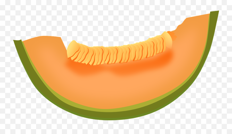 Cantaloupe Melon Fruit - Cantaloupe Clipart Emoji,Melon Png