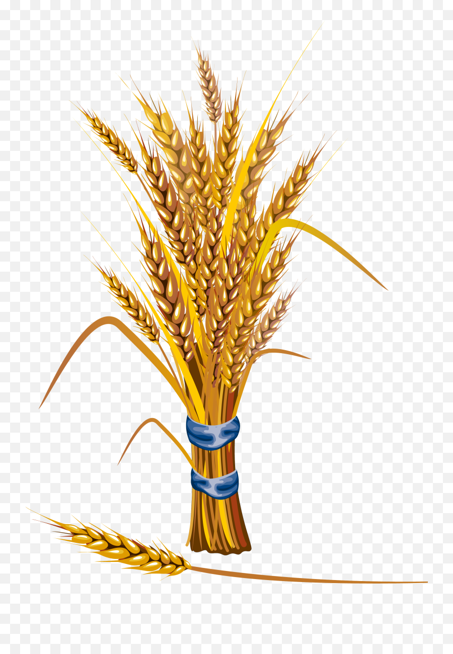 Symbol Of A Desta Wheat Png Transparent - Wheat Crop Icon Png Emoji,Wheat Png
