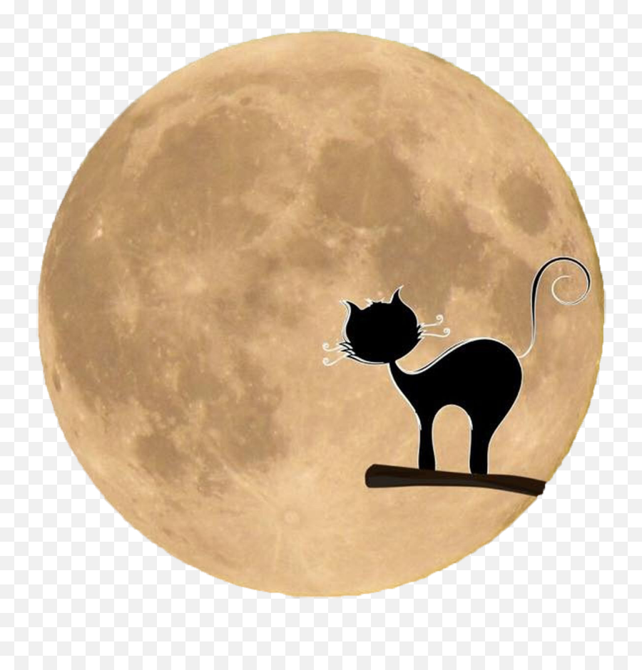 Library Of Halloween Black Cat Svg Royalty Free Download Png - Full Moon Emoji,Black Cat Clipart