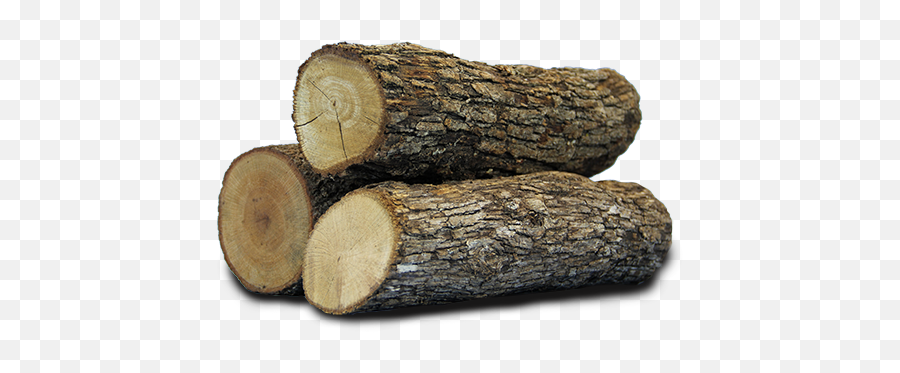 Wood Logs - Transparent Wood Log Png Emoji,Log Png