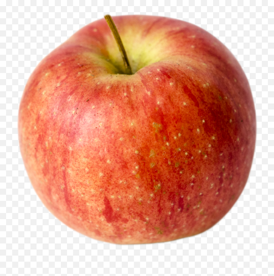 Our Lovely Apples U2014 Champlain Orchards Emoji,Apples Transparent Background
