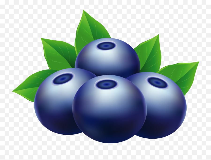Blueberry Clipart Png - Transparent Blueberry Clipart Png Emoji,Blueberry Clipart