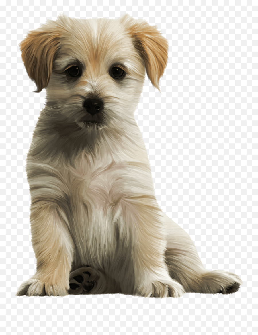 Download Cute Dog Png - Transparent Cute Dog Png Emoji,Dog Png