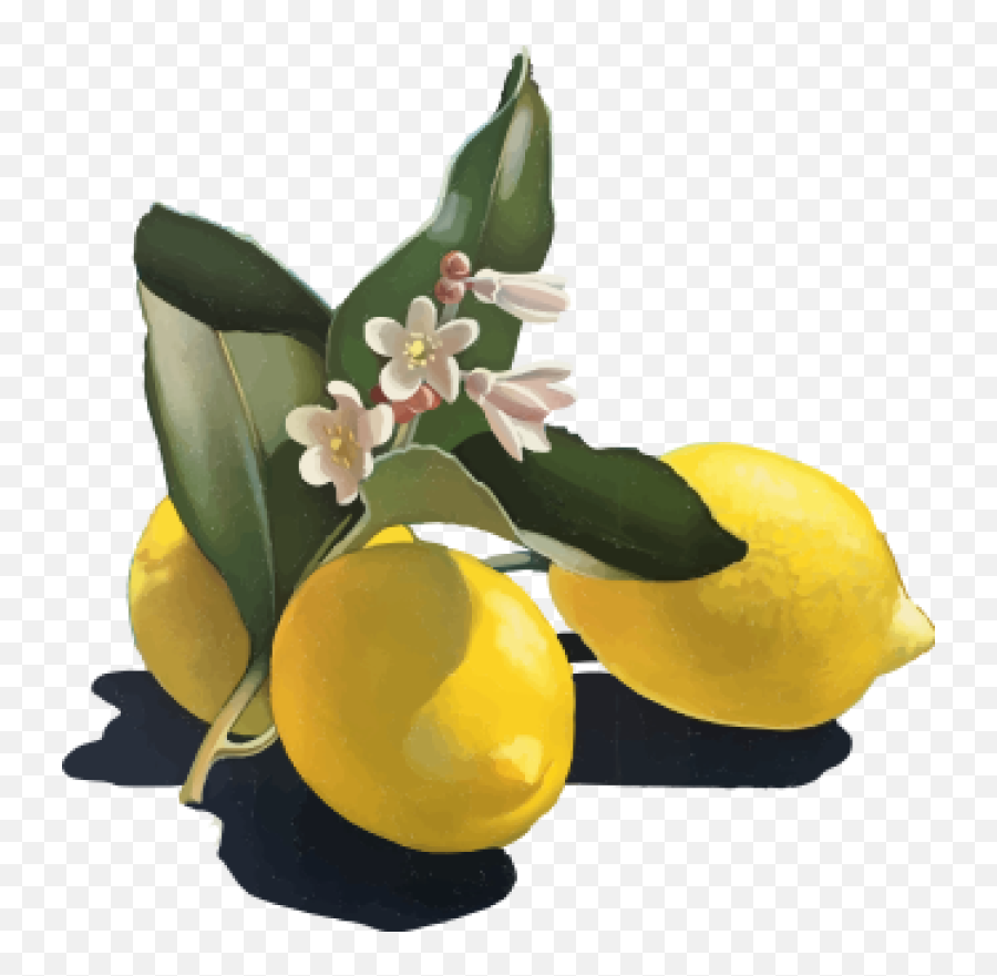 Fresh Lemons Emoji,Lemons Clipart