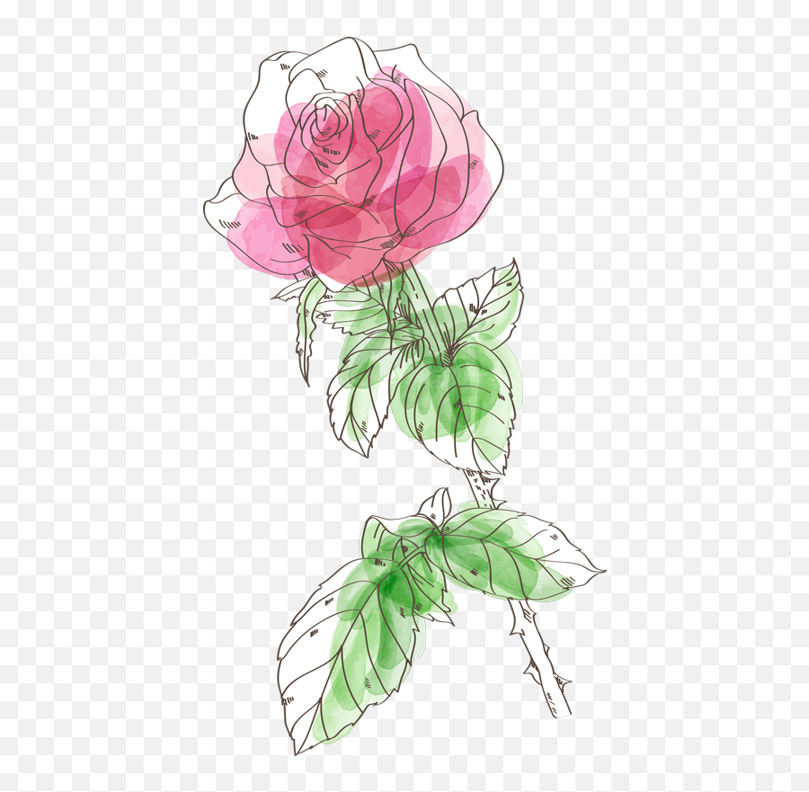 Watercolor Rose Flower Wall Decal Emoji,Watercolor Roses Png