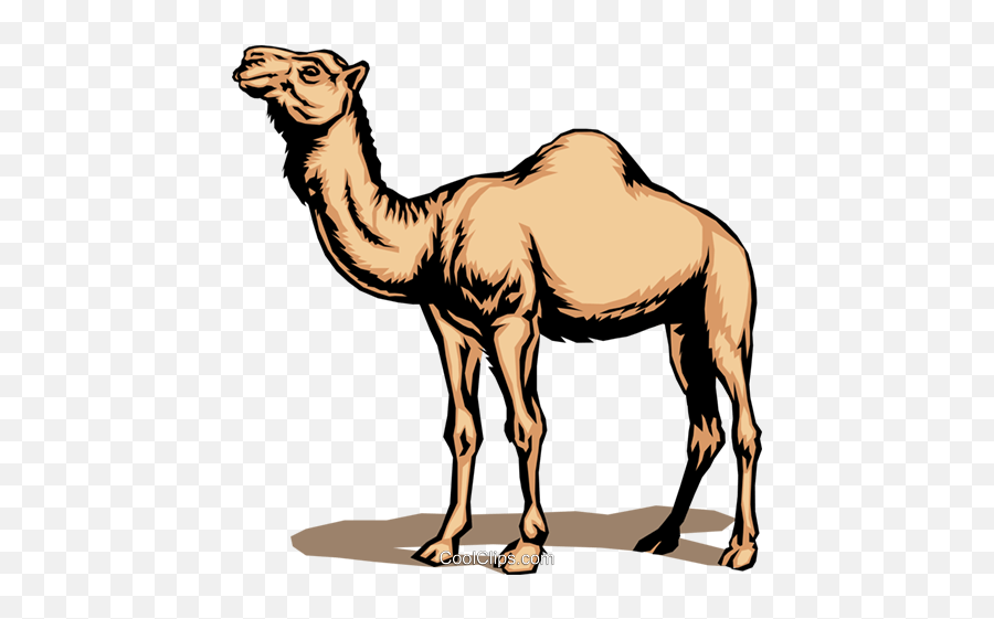 Camel Royalty Free Vector Clip Art - Structural Adaptation Emoji,Camel Clipart