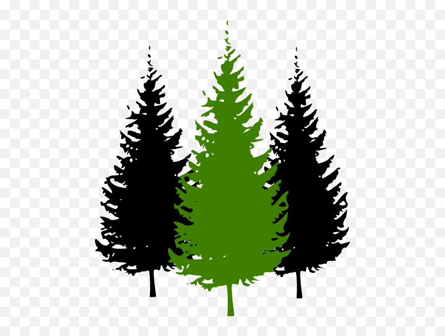 Three Pine Trees 516x598 - Pine Trees Clip Art Emoji,Pine Tree Logo