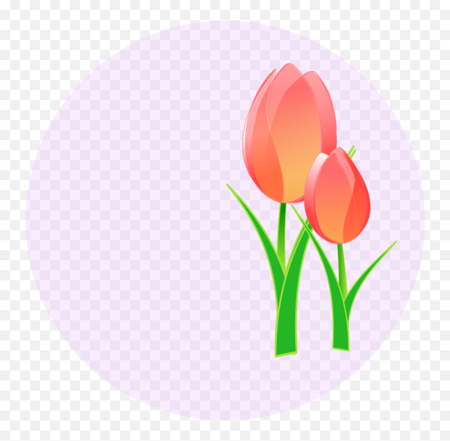Tulips - Tulips Spring Clipart Emoji,Tulips Clipart