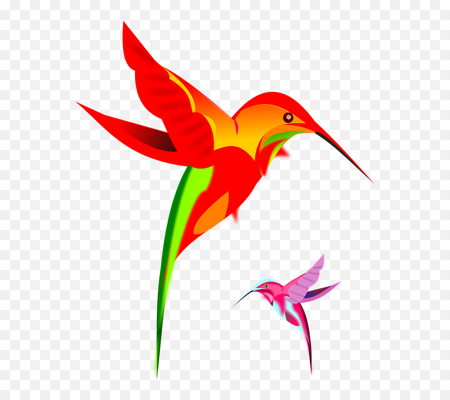 Flying Parrot Clipart 23 - Transparent Background Humming Bird Png Emoji,Flor Png