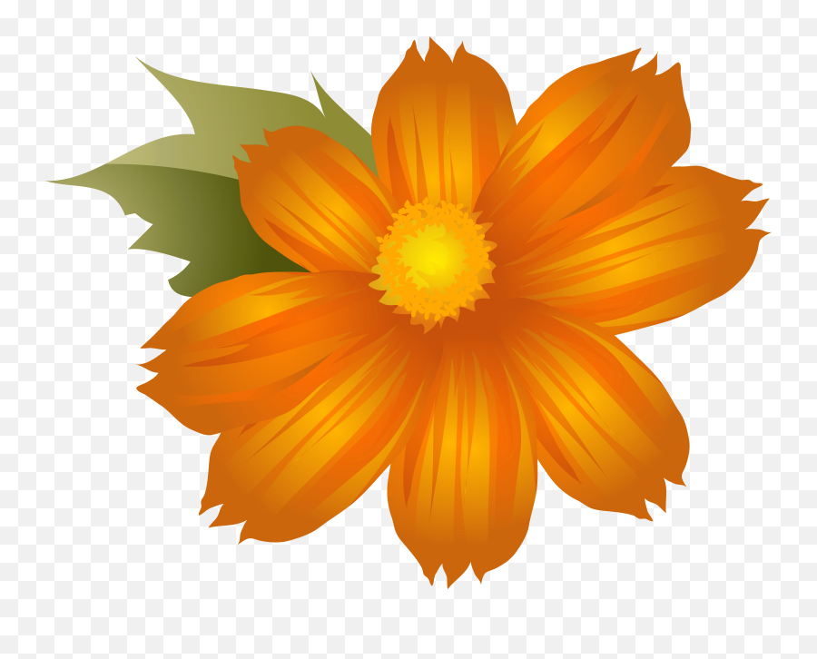 Orange Flower Transparent Png Images - Clip Art Emoji,Orange Transparent