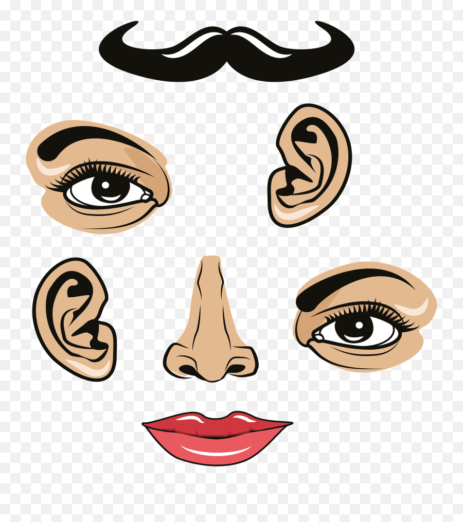 Face Parts Clipart - Face Parts Clipart Emoji,Face Png