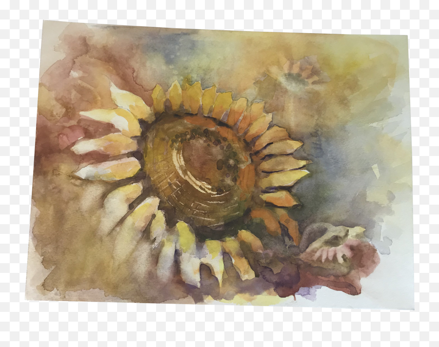 Original Unframed Sunflower Watercolor Study Painting Emoji,Watercolor Sunflower Png
