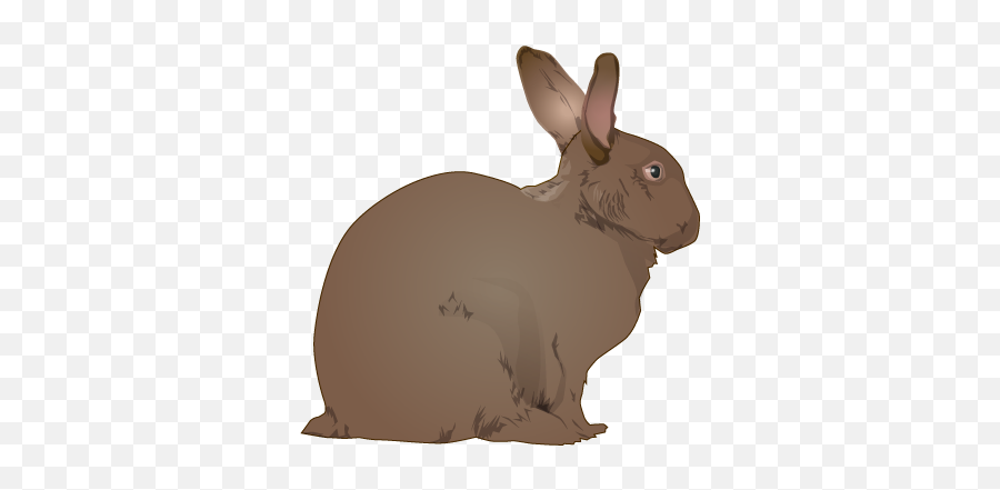 Download Rabbit Clipart Realistic - Rabbit Clip Art Png Clipart Realistic Rabbit Png Emoji,Rabbit Clipart