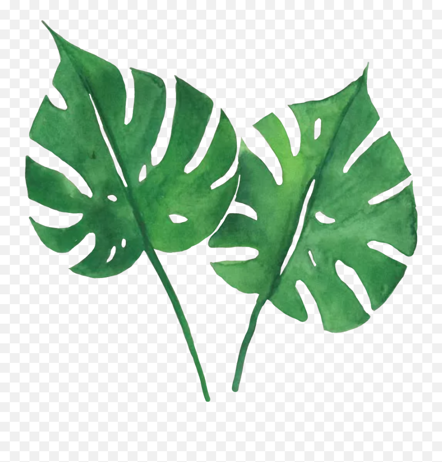 Watercolor Tropical Leaves Png - Tropical Leaves Png Hd Emoji,Tropical Leaf Png