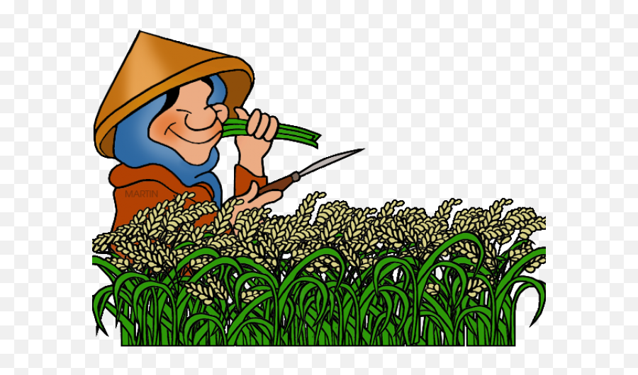 Rice Clipart - Clipart Rice Plant Png Download Full Size Farmer Planting Rice Cartoon Emoji,Crops Clipart