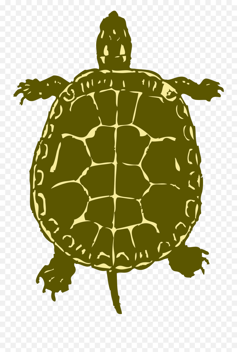 Turtle Png Svg Clip Art For Web - Download Clip Art Png Turtle Clip Art Emoji,Turtle Clipart