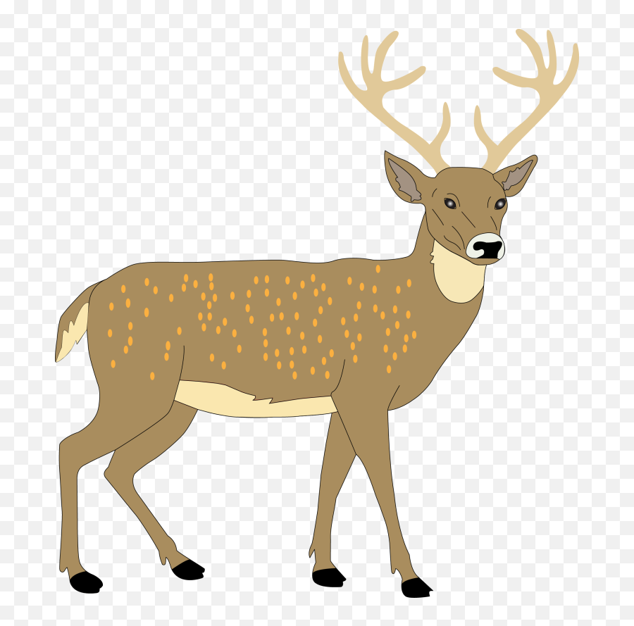 Grade 3 Science Animals Emoji,Deer Tracks Clipart