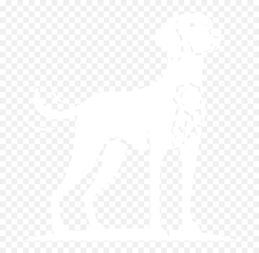 Perfdog - Club Page For The Puget Sound Vizsla Club Emoji,Black Dog Clipart