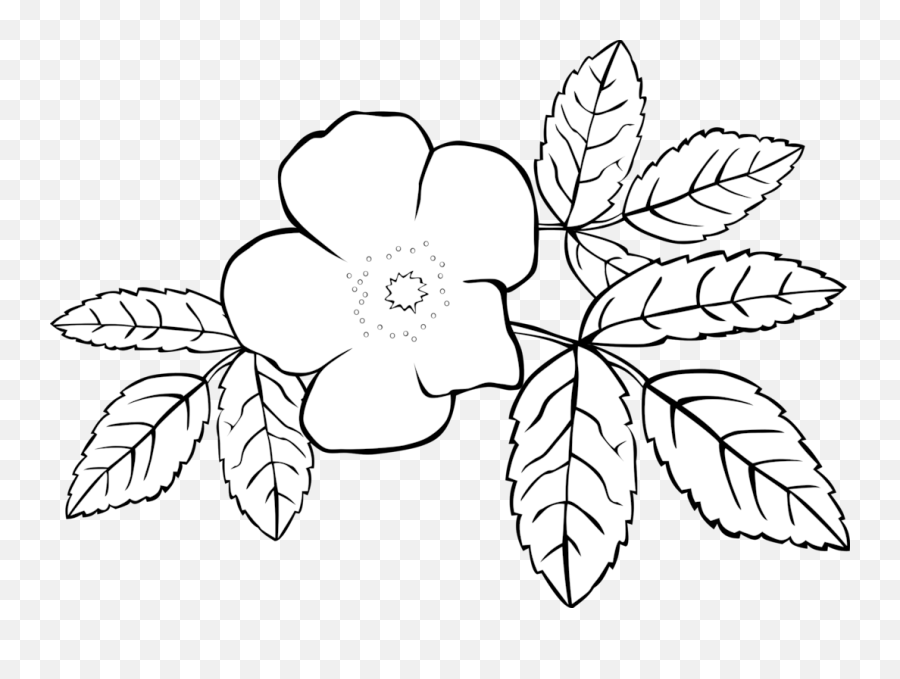 Prickly Wild Rose Photo Background Transparent Png Images - Jasmine Clip Art Black And White Emoji,Rose Clipart Black And White